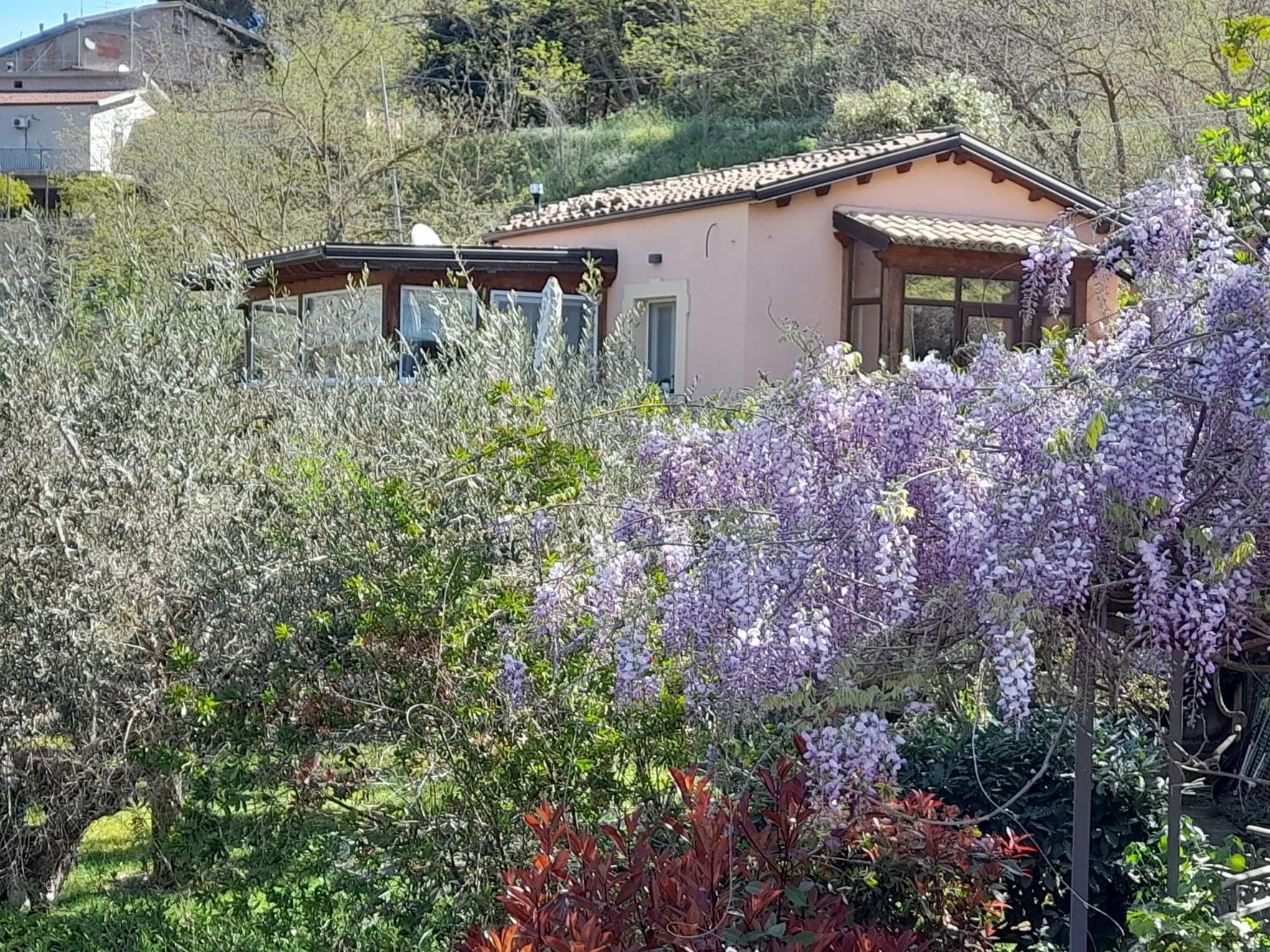 Villa Clementine Пиаца Армерина Екстериор снимка